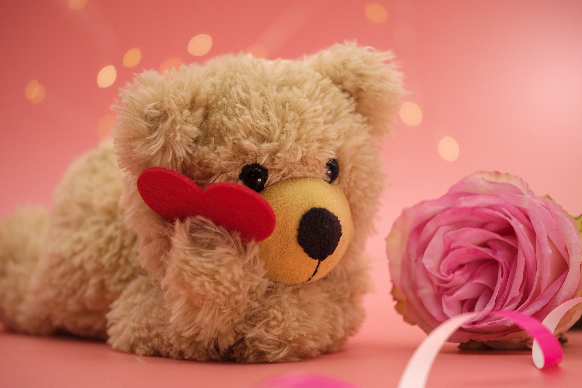 Cute Teddy Bear Wallpaper