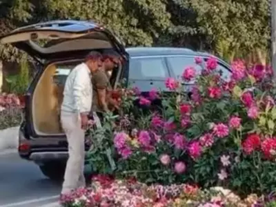 two men steal flower pots kept for upcoming G20 summit