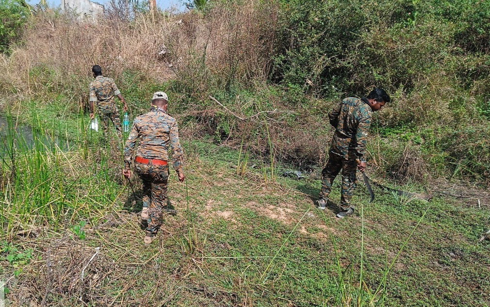 Leopard That Killed An 11-Year-Old Boy, Terrorised Residents, Captured ...