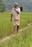 Kerala Tribal Man, A Guardian Of Over 50 Indigenous Paddy Seeds Wins Padma Shri