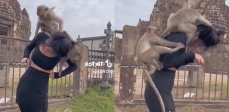 Monkeys Attack Girl In Viral Video