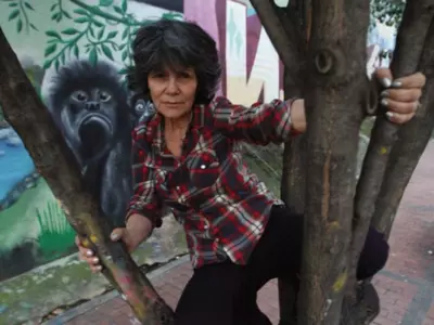 Marina Chapman Learned How To Communicate With Monkeys