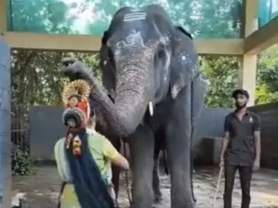 elephant blesses dancer 