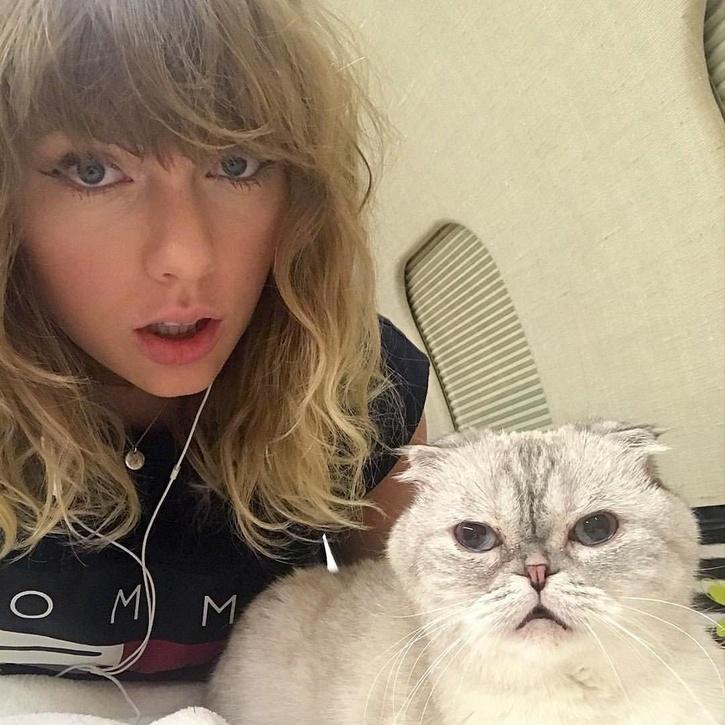 Taylor Swifts Cat Is 3rd Richest Pet In The World