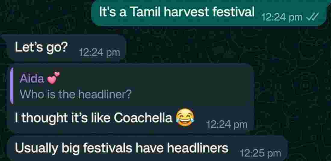 Indian Tries To Explain Pongal to Westerner 
