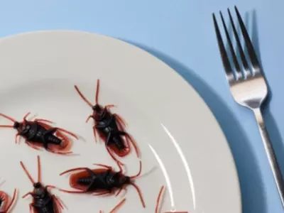 Man Releases Cockroaches Into Restaurants Over Pay Dispute