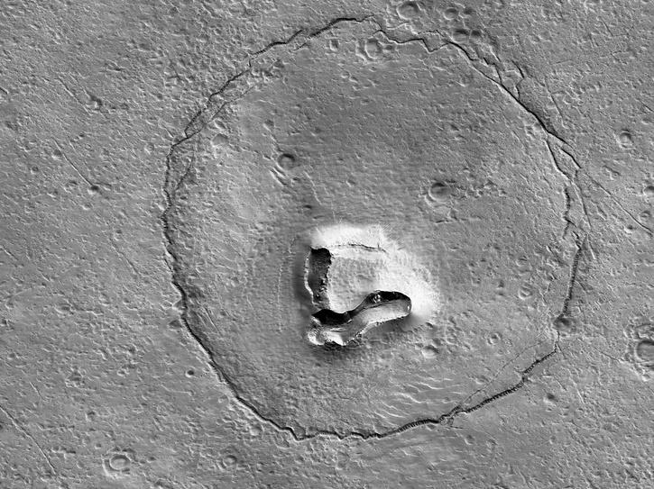 Nasa observes bear face on Mars surface shares picture 