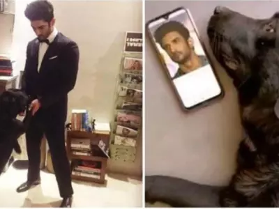 Sushant Singh Rajput's Dog Fudge, Who Had Refused To Eat After His Death, Has Passed Away