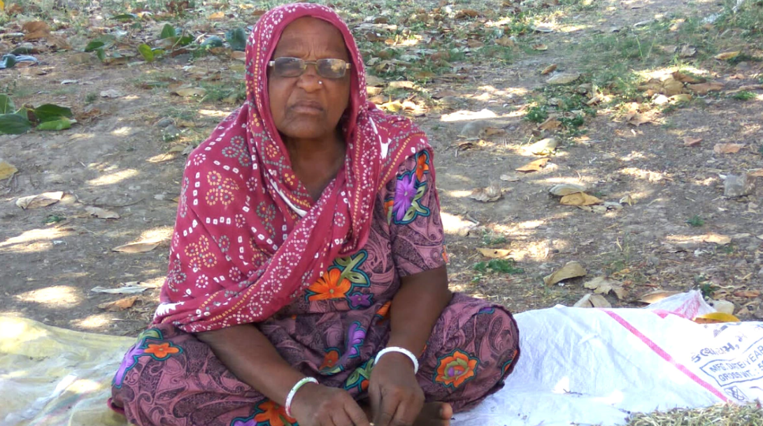 Padma Awards 2023 who is Hirbai Ibrahim Lobi