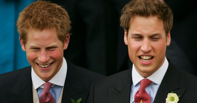 'He Grabbed Me By Collar': Prince Harry Narrates Physical Attack By ...