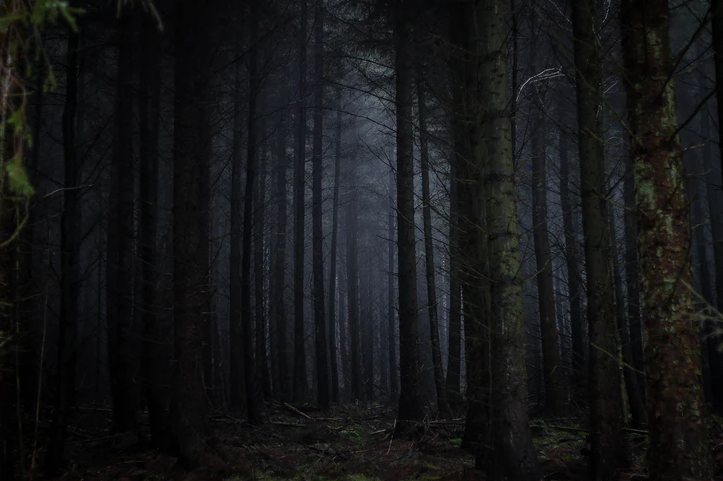 Ram Bahadur Thapa Case