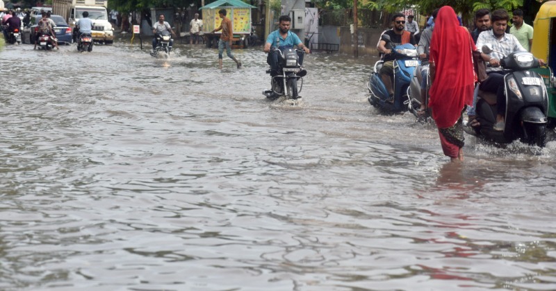 Flood Wreaks Havoc In Gujarat; Animals, Cars Swept Away