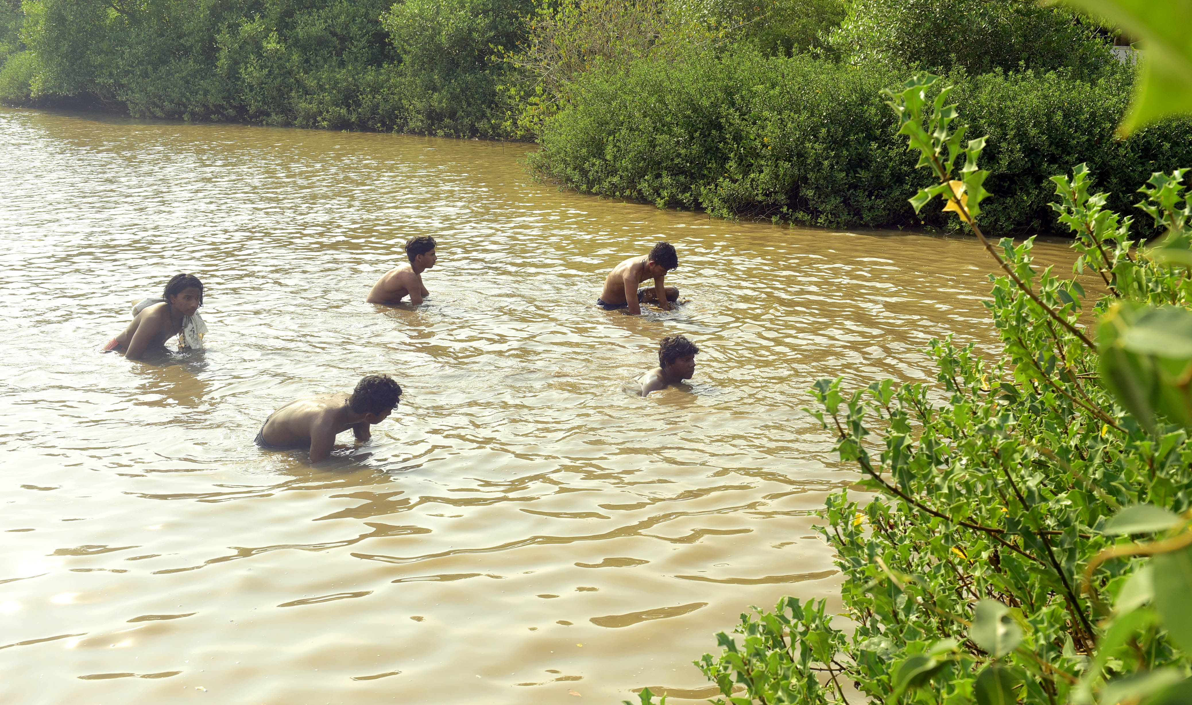 'Brain-Eating Amoeba' Death In Kerala: Should You Be Worried About ...