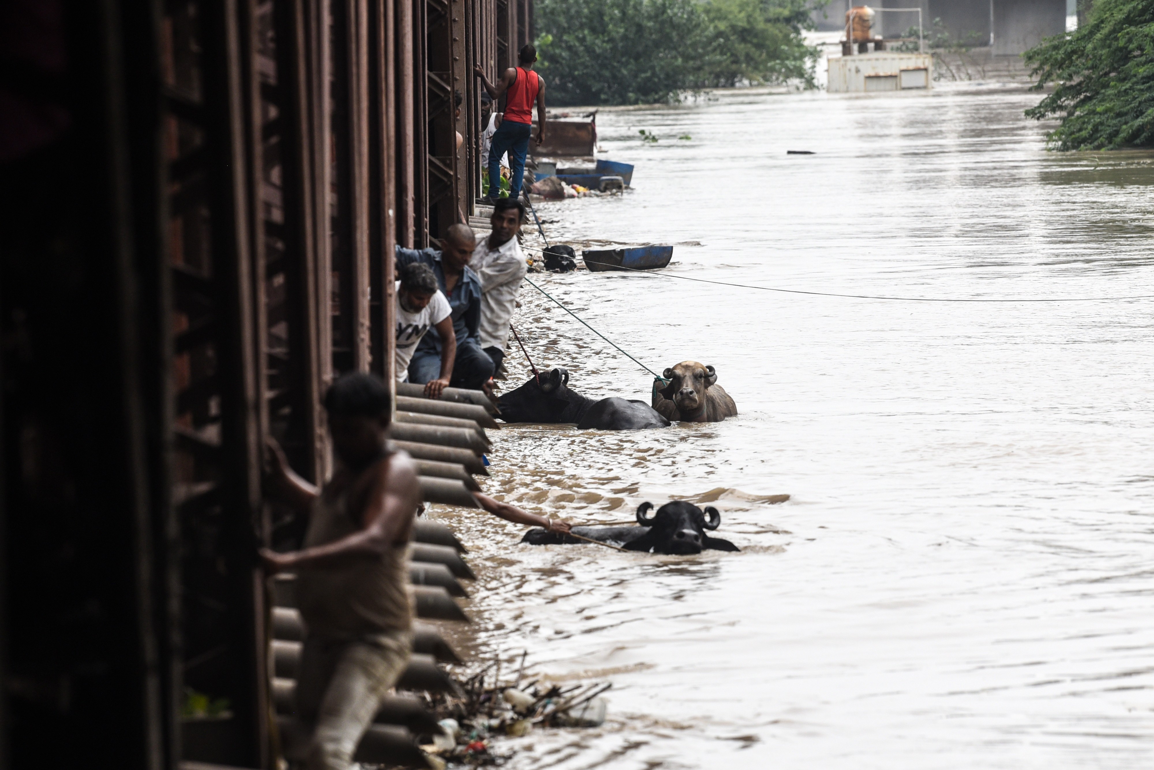 Army, NDRF Join Relief Operations As Delhi Continues To Reel Under ...