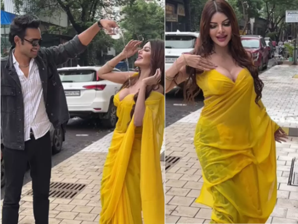 Sherlyn Chopra Makes Men Pour Water On Her Body As She Dances Roadside; Internet Calls Her Mad