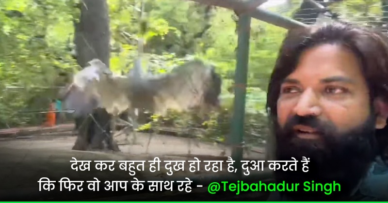 फिर से सुर्खियों में आया अमेठी का सारस, चार महीने बाद अपने दोस्त Arif