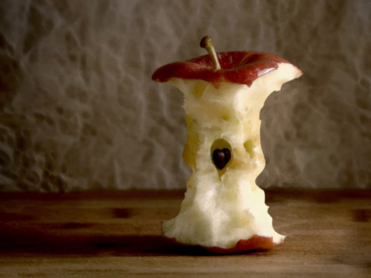 Глупое яблоко. Огрызок яблока. Обгрызанное яблоко. Огрызок яблока фото.