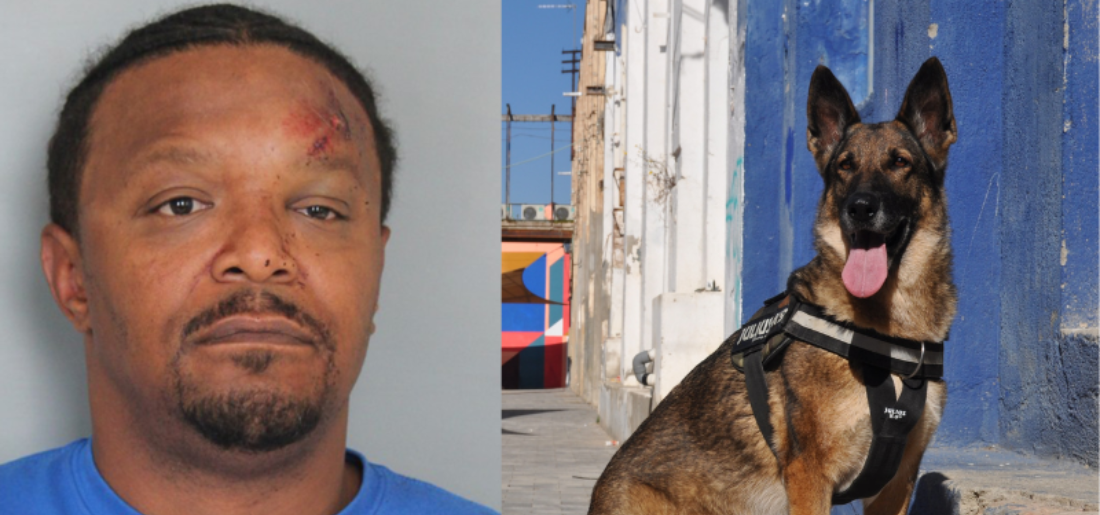 drunk-delaware-man-bites-police-dog