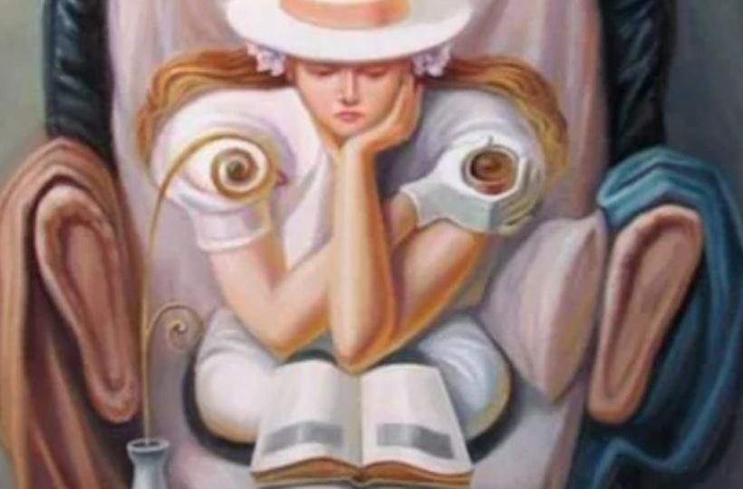 Optical-illusion-woman-reading-a-book_64b618c385f9c.jpg