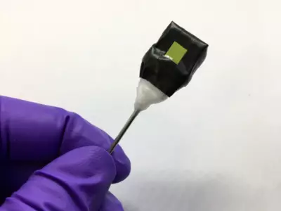'Artificial Leaf' Harnesses Solar Power To Generate Clean Fuel For Vehicles