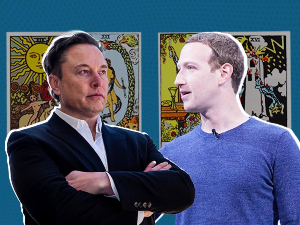 Elon Musk vs Mark Zuckerberg. Who would win?