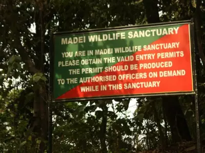 Goa Says No To Setting Up A Tiger Reserve In The State, Here Is Why