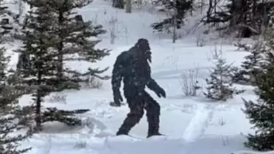 Bigfoot? Video Shows Tall, Hairy Creature