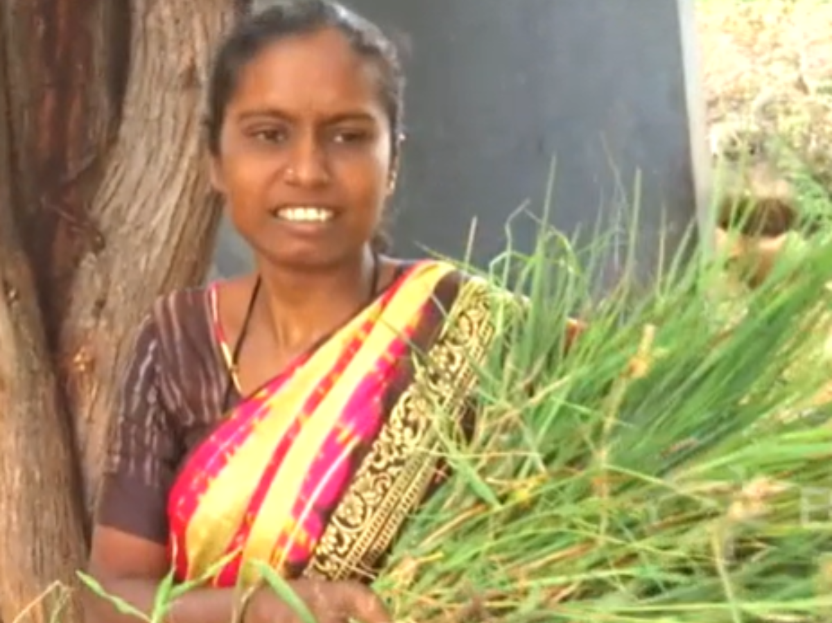 andhra pradesh daily wage laborer gets Phd in chemistry  