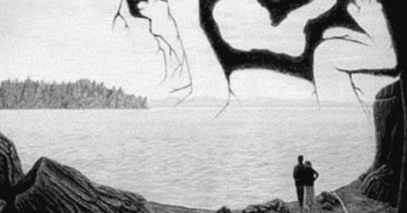 Challenge Yourself With This Optical Illusion - Can You Spot A Hidden ...
