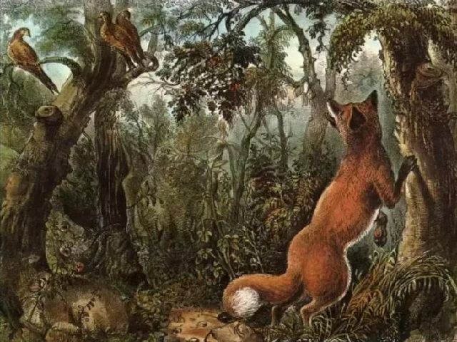 Optical Illusion Intelligence Test Point 16 Hidden Animals