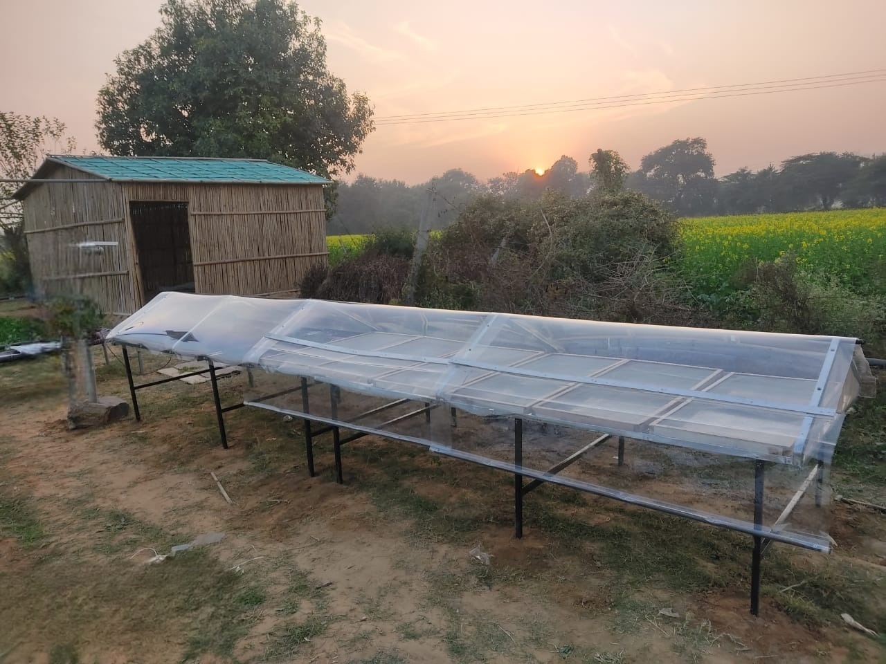 How These LowCost Solar Dryers Are Solving India's Food Wastage Crisis