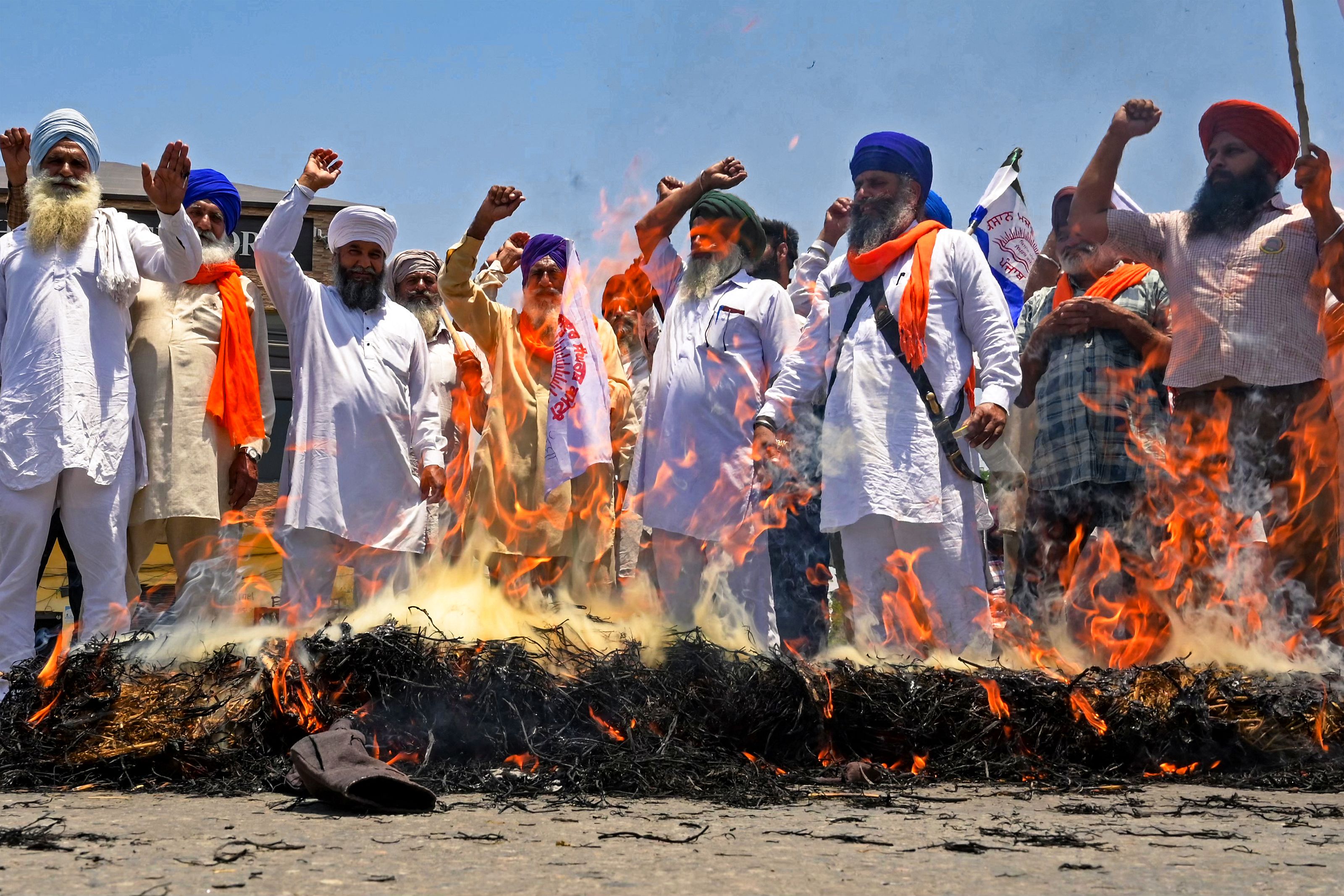 With Their Demand Of MSP For Sunflower Seed Met, Haryana Farmers Call