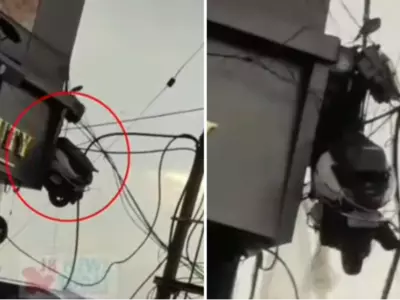 A Scooter Trapped In Power Lines Surprises Netizens In Jammu
