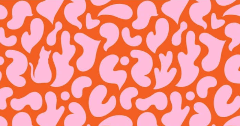 Optical Illusion Only 2 Of People Can Spot The Hidden Curious Cat In Optical Illusion Only 2 Of People Can Spot The Hidden Curious Cat In