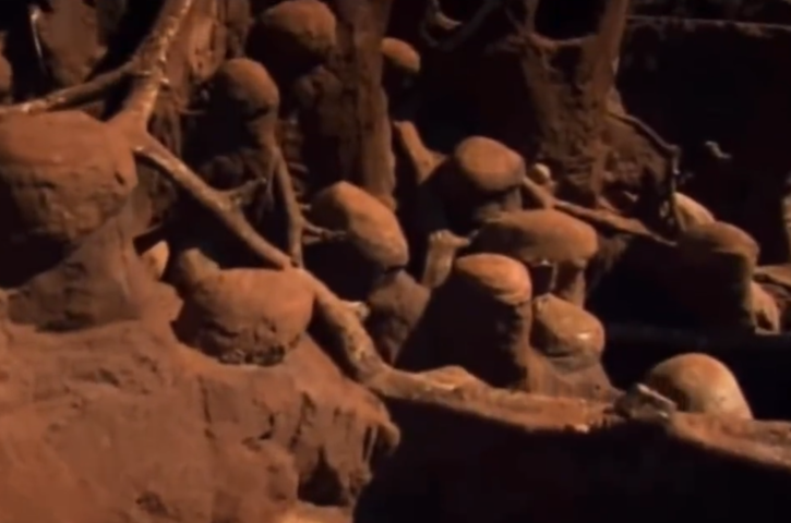 after pumping 10 tons of cement scientists find mega city inside ant hill