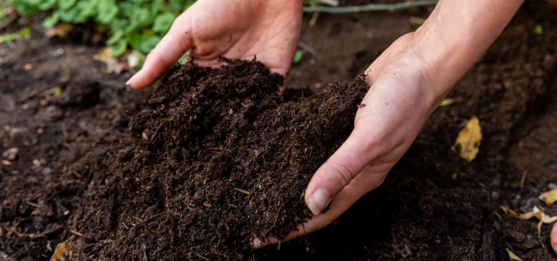 Types Of Soil Common In Home Gardens In India