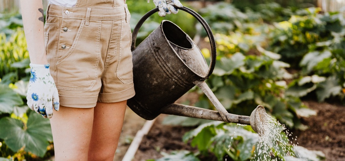 gardening-how-to-start-and-grow-a-garden