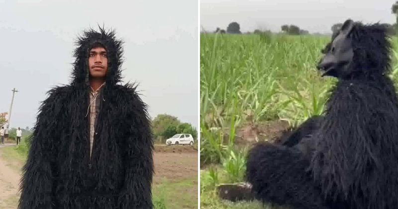Uttar Pradesh farmers dress up as bears to protect their crops from monkeys