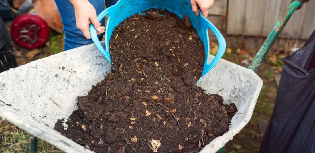 How Does Composting Work?