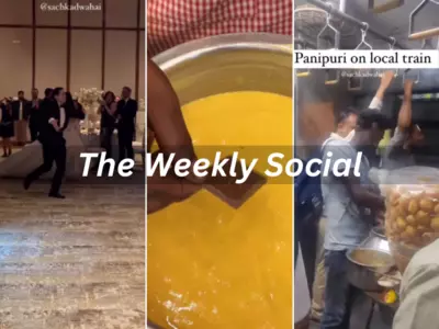 Instagram's Most Viral Reels This Week In The Weekly Social