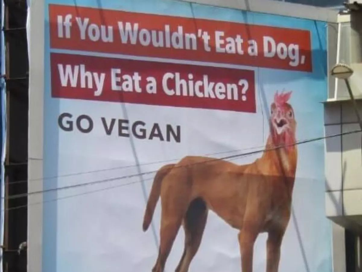peta-billboard-648ac3fd432c5 Indiatimes