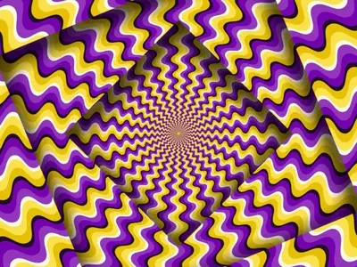 Unbelievable Visual Puzzle Can You Stop the Moving Image