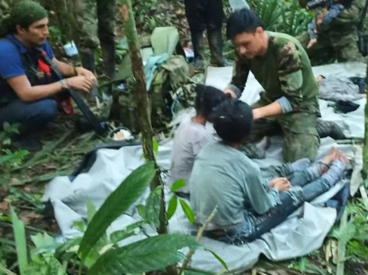 4 Children Survive Plane Crash, Found Alive After 40 Days In Amazon