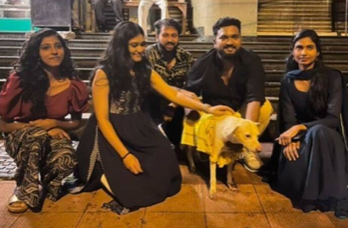 Video of a street dog