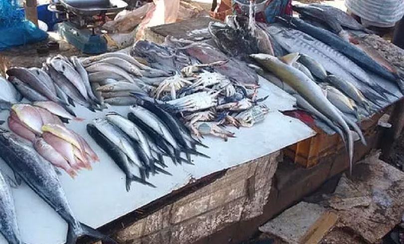 Meghalaya Bans Sale Of Imported Fish As Carcinogenic Formalin Detected ...