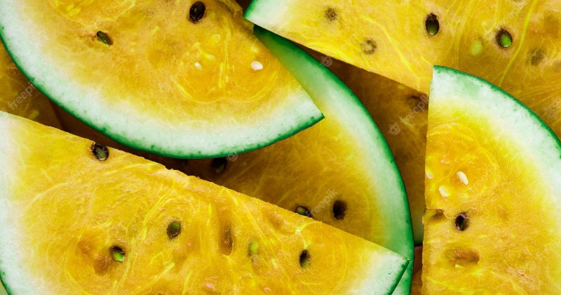 3.5″ Watermelon PLUS Glass Lens - Grand General