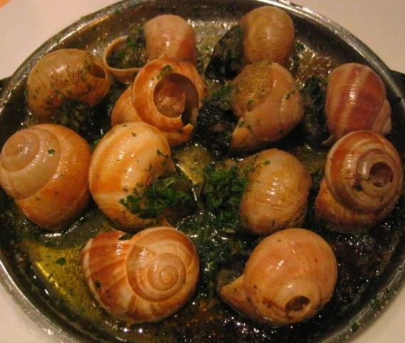 Protein-rich Snails Eaten In Northeast India Could Be Made 'boutique 