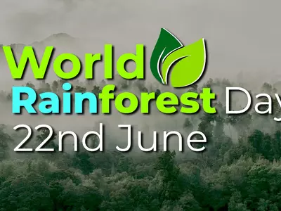 World Rainforests Day 2023: Date, Theme, History And Significance