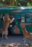 Watch: Incredible Footage Shows Tiger Hanging Off The Side Of Bus Carrying Tourists During Jungle Safari