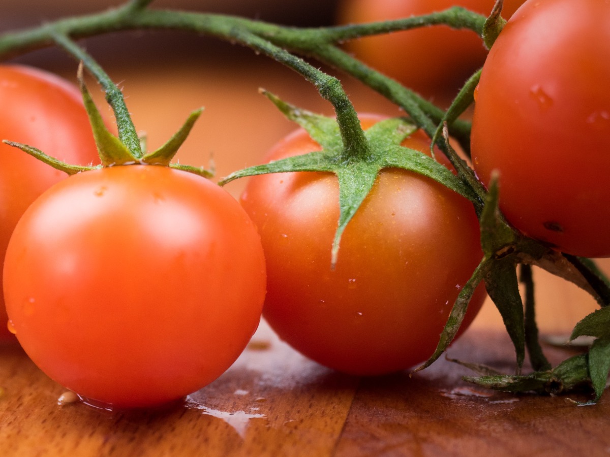 Tomato seeds set new record at Rs 3 crore per kg